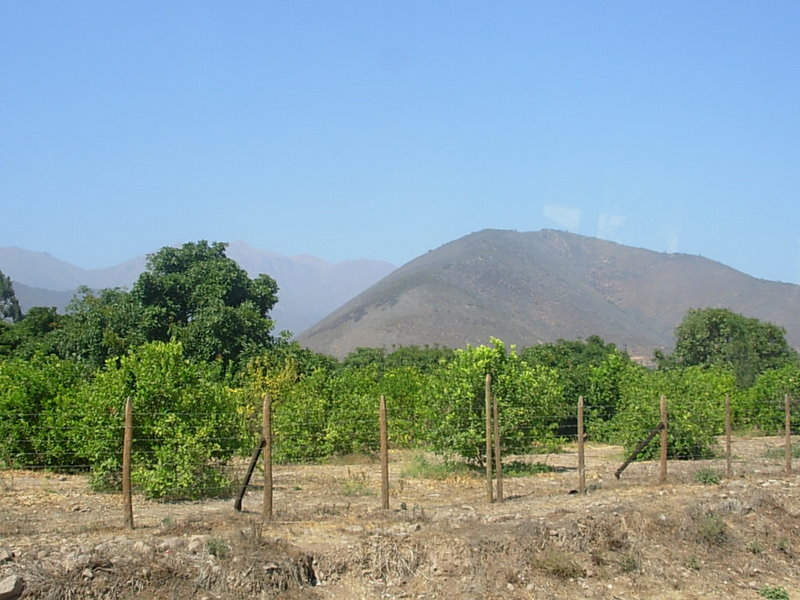 Foto de Cabildo, Chile