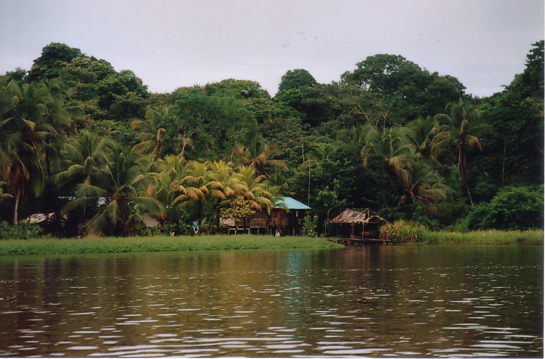 Foto de Tortuguero, Costa Rica
