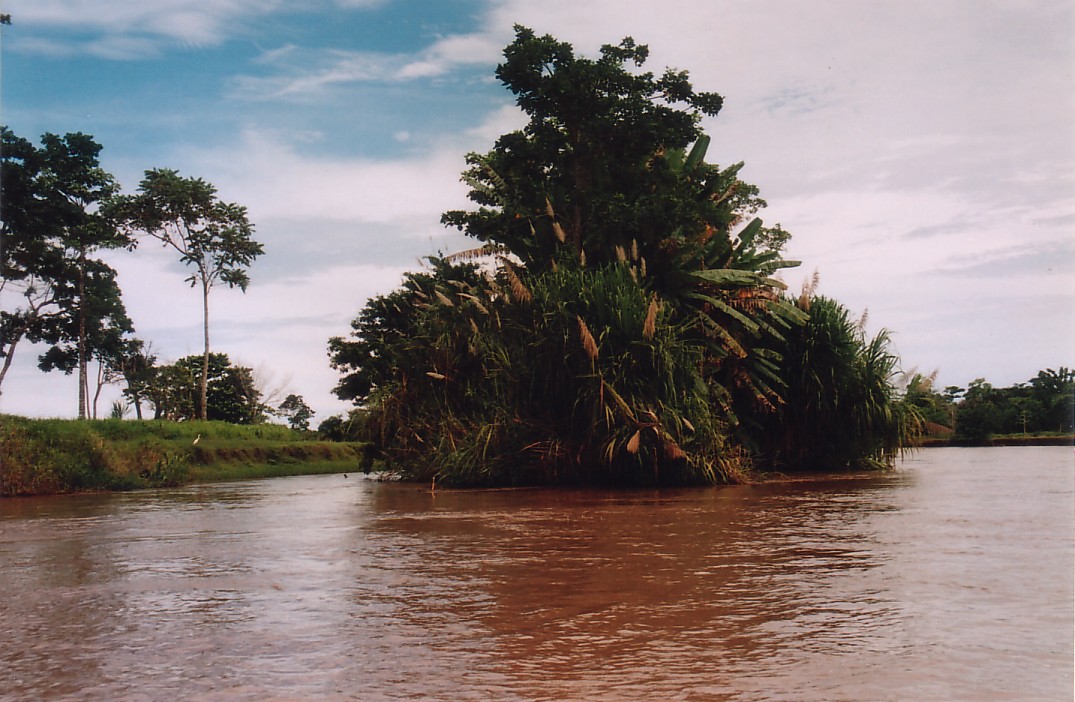 Foto de Tortuguero, Costa Rica
