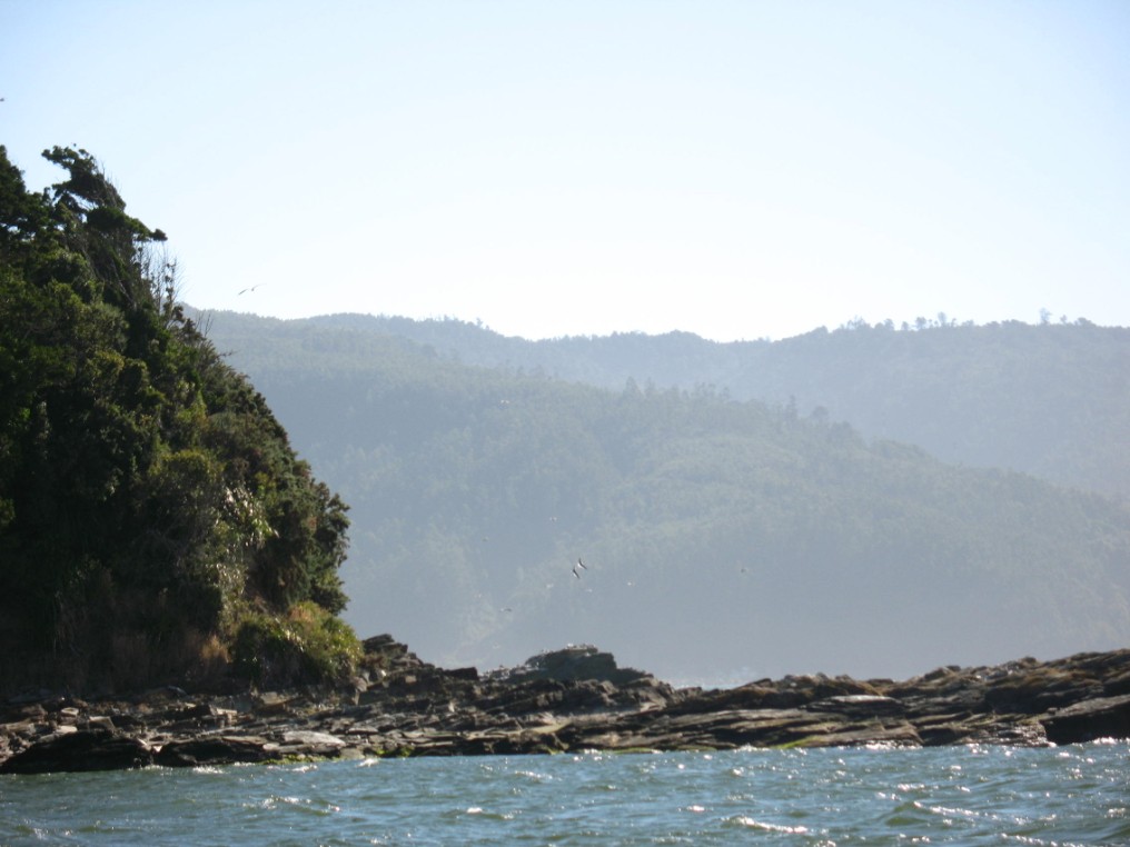 Foto de Valdivia, Chile