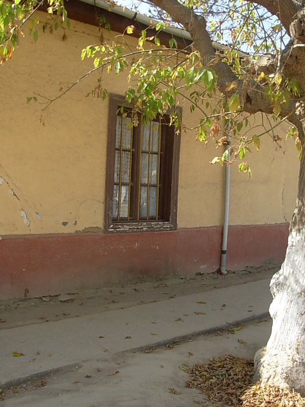 Foto de Catapilco, Chile