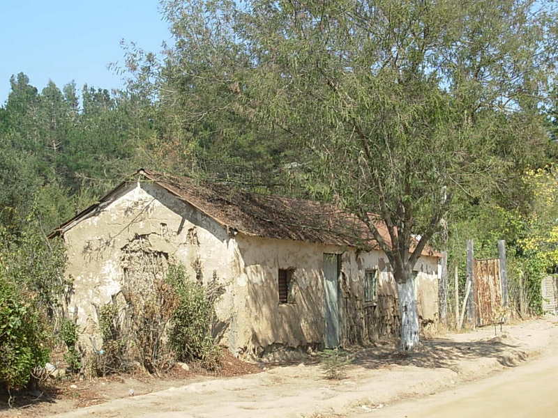 Foto de Catapilco, Chile