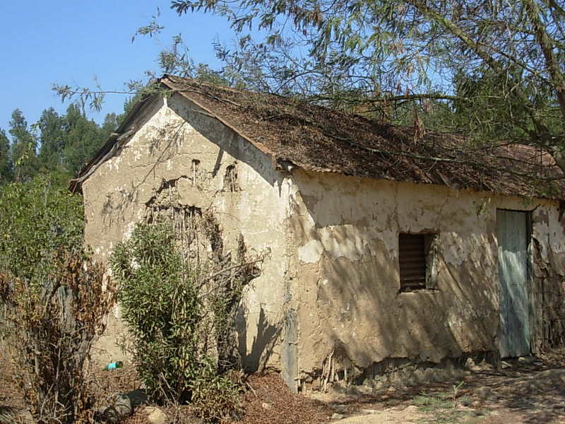 Foto de Catapilco, Chile