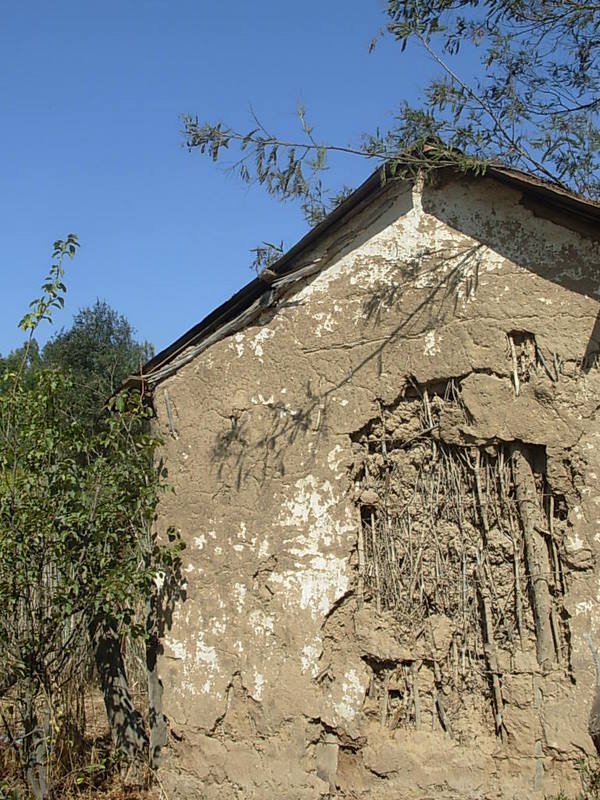 Foto de Catapilco, Chile