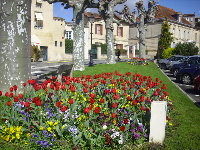 Foto de Saint-Emilion, Francia