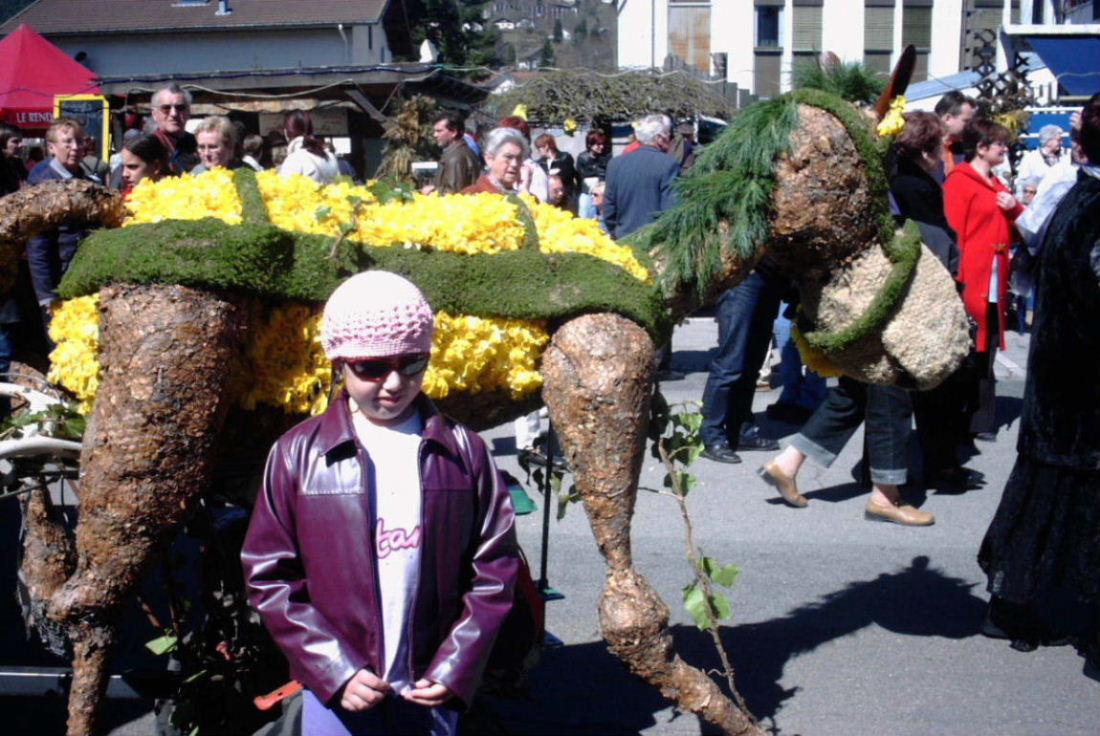 Foto de Gerardmer, Francia