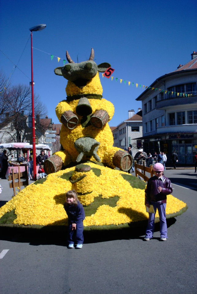 Foto de Gerardmer, Francia