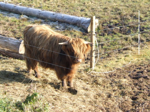 Foto de Provenchère sur fave, Francia