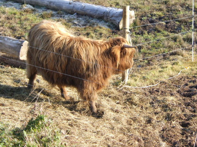 Foto de Provenchère sur fave, Francia