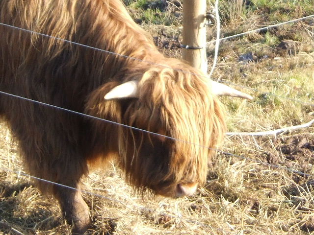 Foto de Provenchère sur fave, Francia