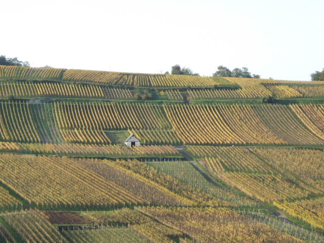 Foto de Dorlisheim, Francia
