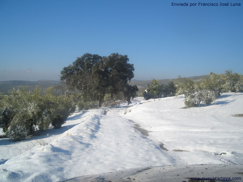 Foto de Nueva Carteya (Córdoba), España
