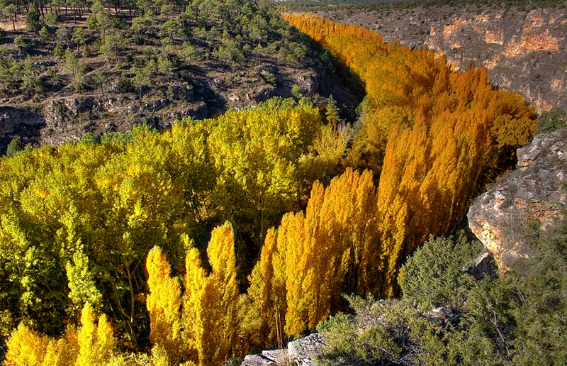 Foto de Sepúlveda (Segovia), España