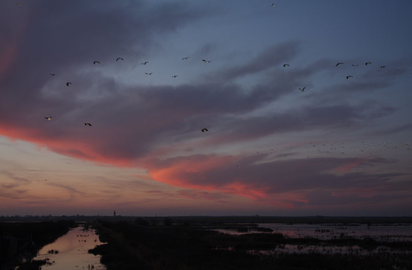 Foto de Fuentes de Nava (Palencia), España
