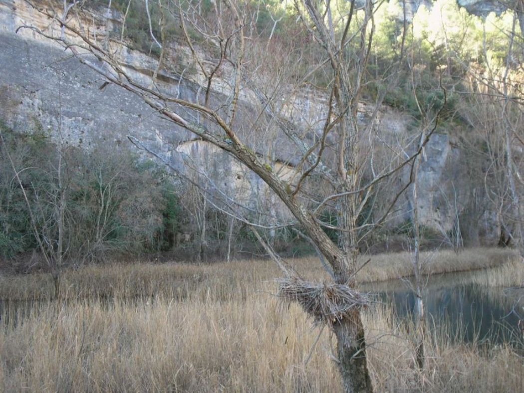 Foto de Carrascosa de la Sierra (Cuenca), España