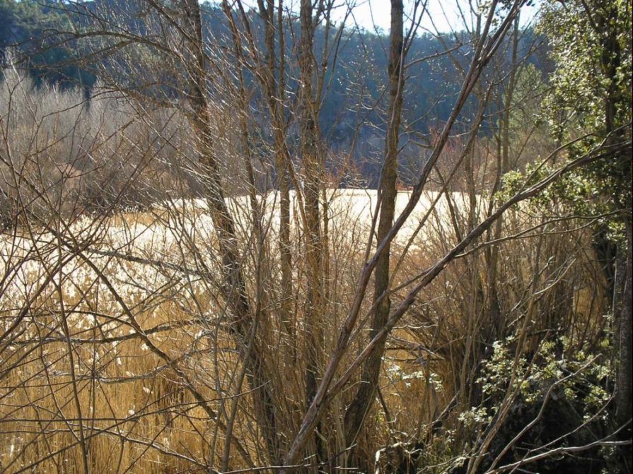 Foto de Carrascosa de la Sierra (Cuenca), España