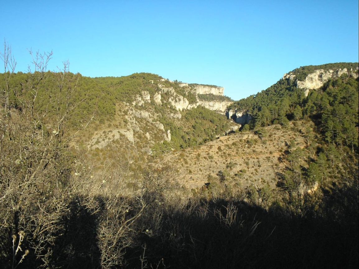 Foto de Carrascosa de la Sierra (Cuenca), España