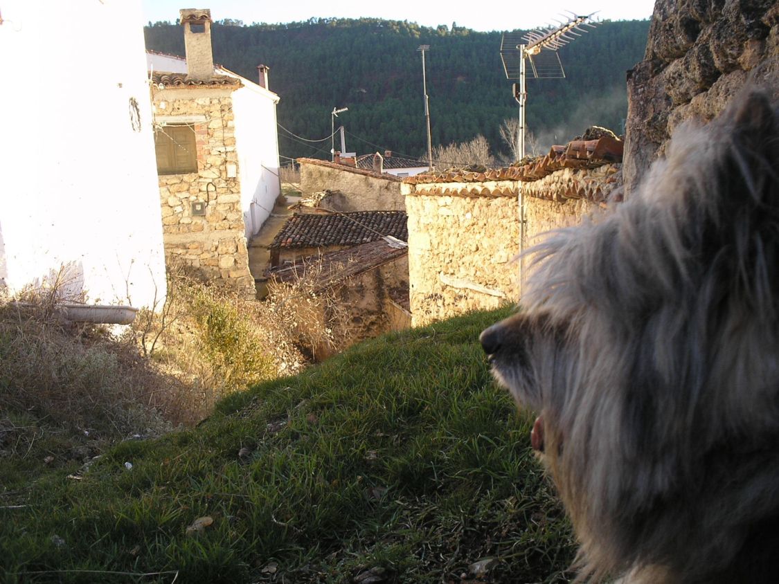 Foto de Carrascosa de la Sierra (Cuenca), España