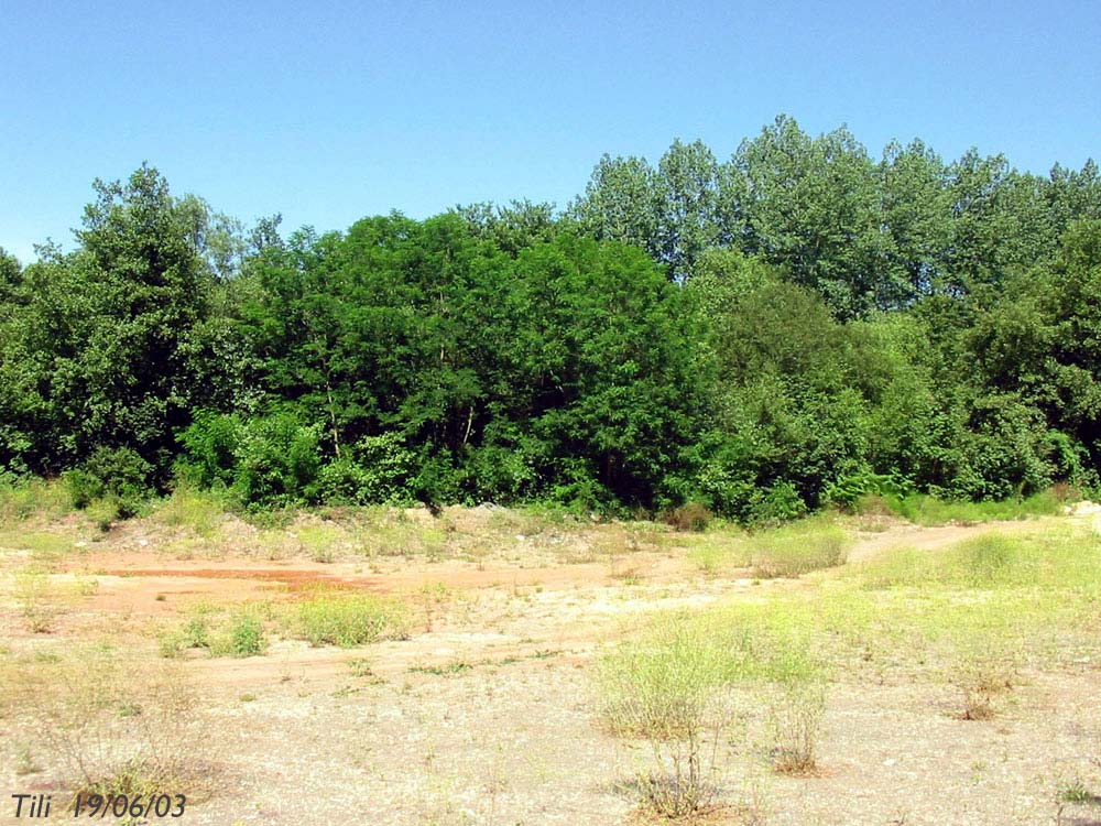 Foto de La Manjoya (Asturias), España