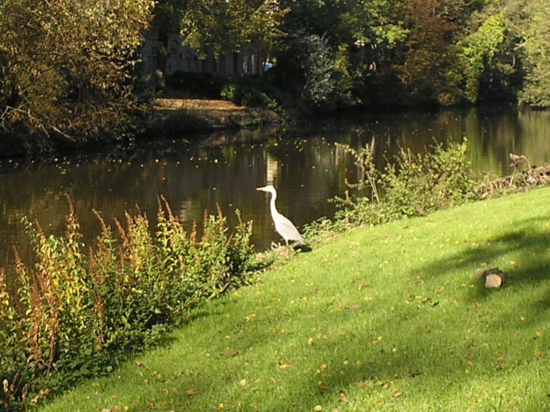 Foto de Brugge, Bélgica