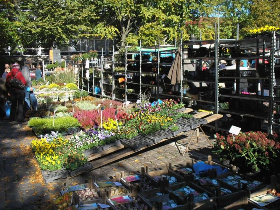 Foto de Brugge, Bélgica