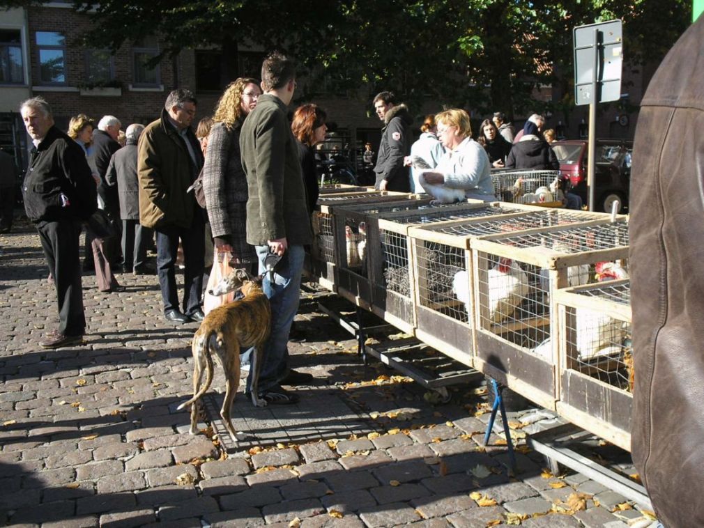 Foto de Brugge, Bélgica