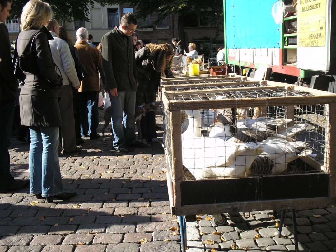 Foto de Brugge, Bélgica