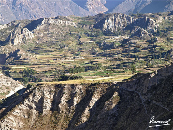 Foto de Cañon del Colca, Perú