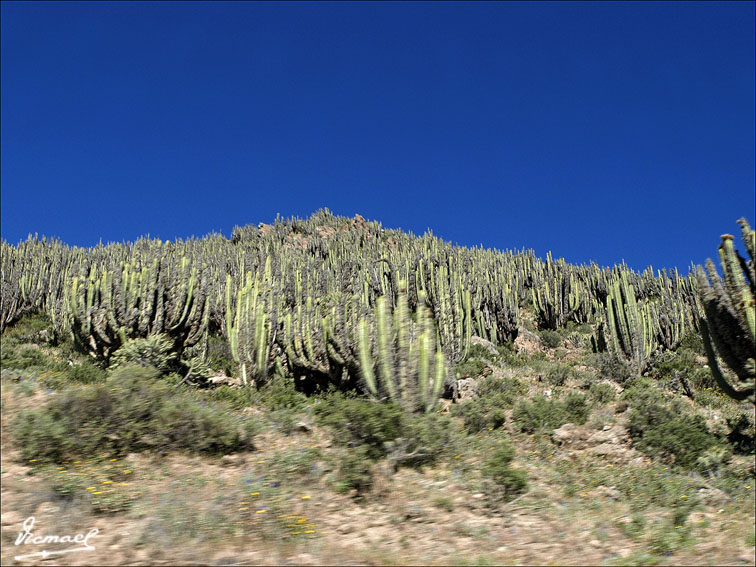 Foto de Colca, Perú