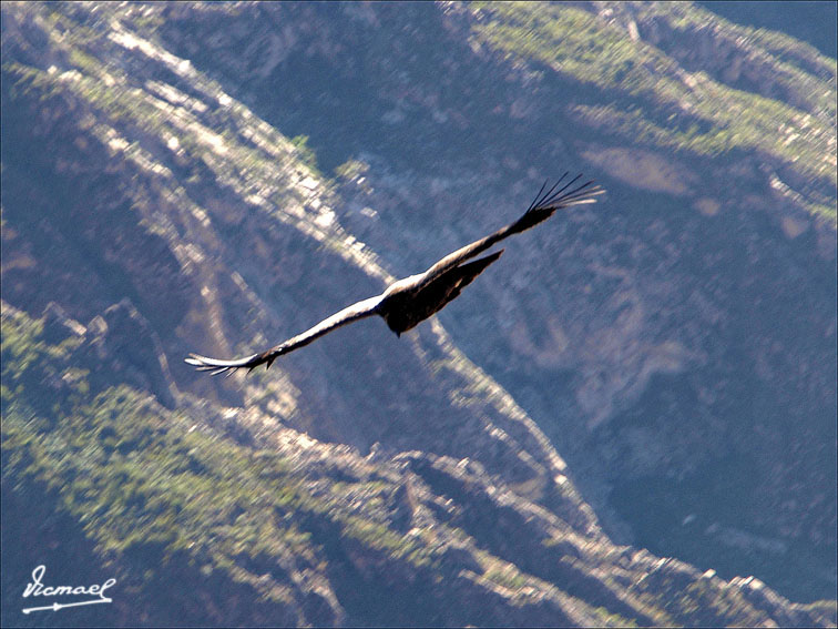 Foto de Colca, Perú