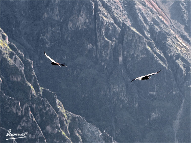 Foto de Colca, Perú