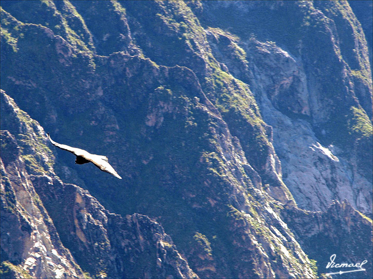 Foto de Colca, Perú