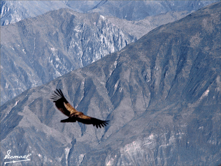 Foto de Colca, Perú
