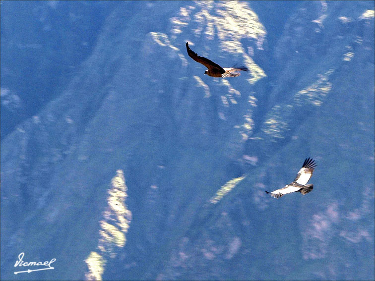 Foto de Colca, Perú
