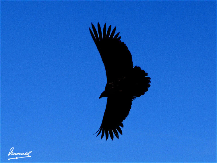 Foto de Colca, Perú
