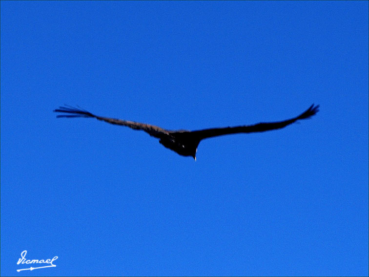 Foto de Colca, Perú