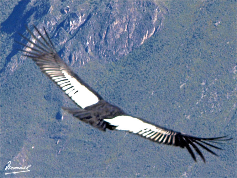 Foto de Colca, Perú