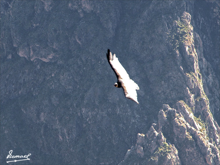 Foto de Colca, Perú