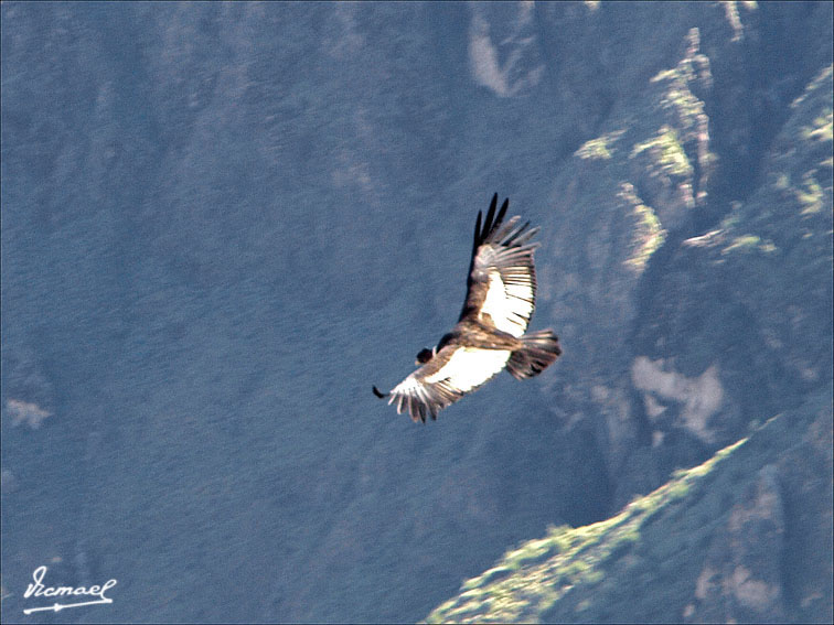 Foto de Colca, Perú