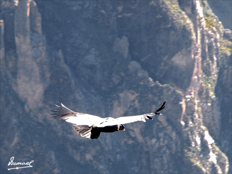 Foto de Colca, Perú