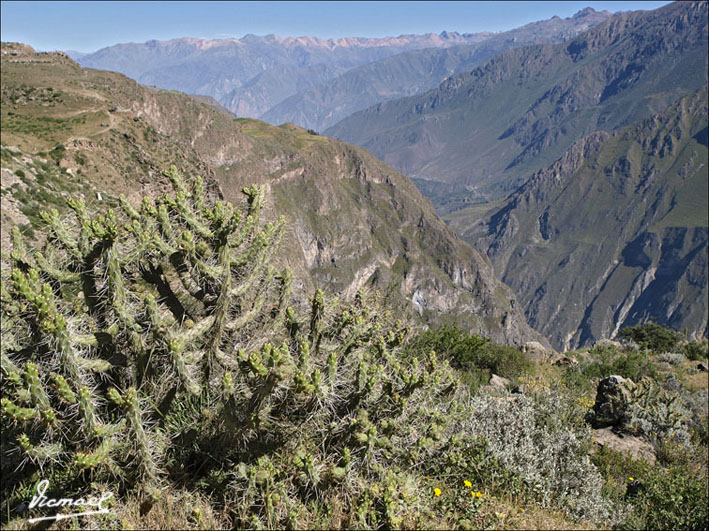 Foto de Colca, Perú