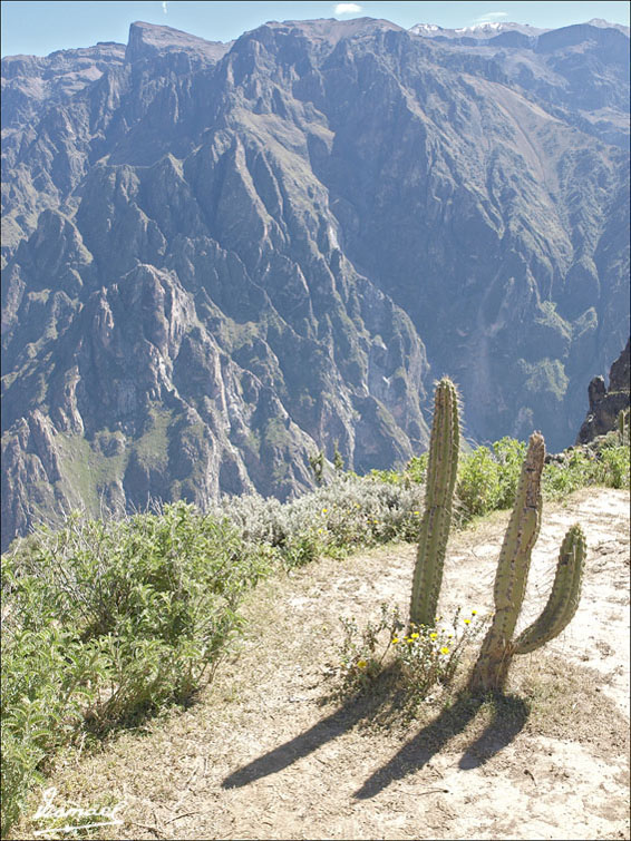 Foto de Colca, Perú