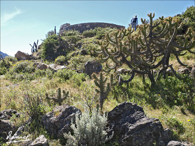 Foto de Colca, Perú