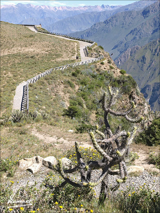 Foto de Colca, Perú