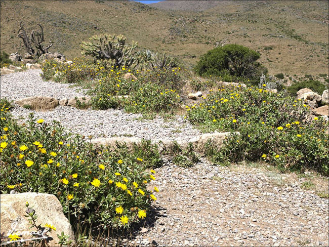 Foto de Colca, Perú