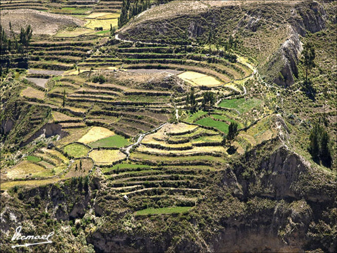 Foto de Colca, Perú