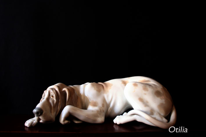 Foto de Oviedo (Asturias), España