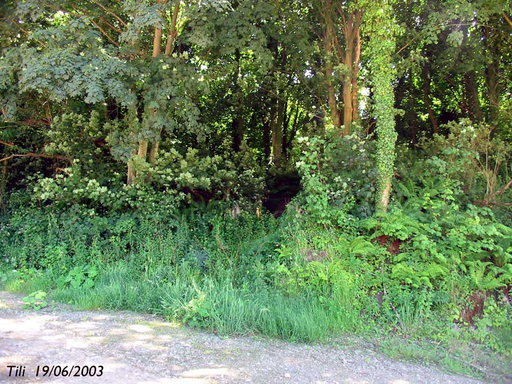 Foto de La Manjoya (Asturias), España