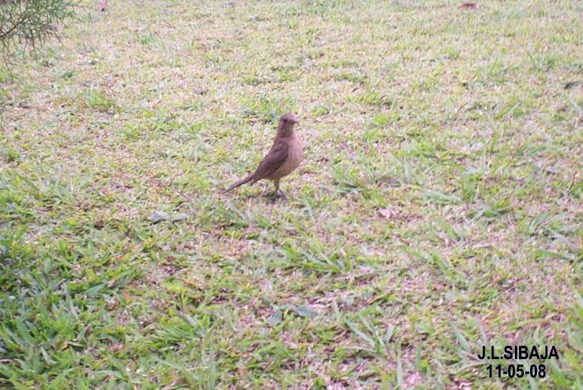 Foto de Alajuela, Costa Rica