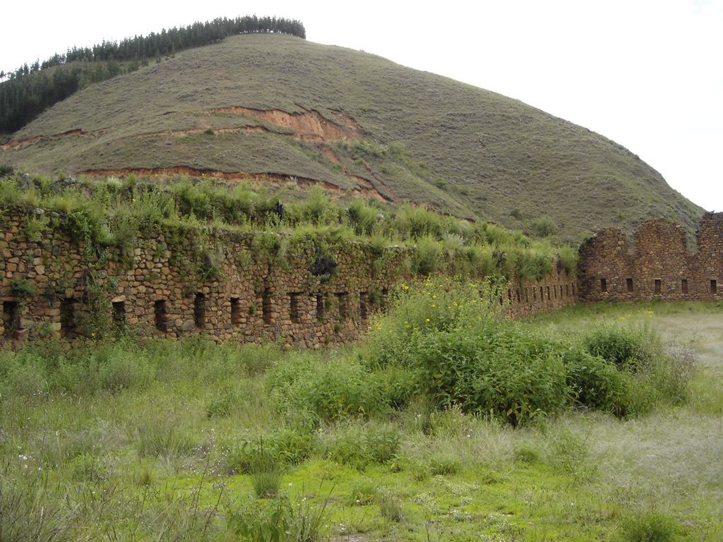 Foto de Totora, Bolivia